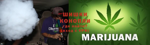 стаф Надым
