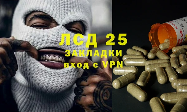 винт Нея