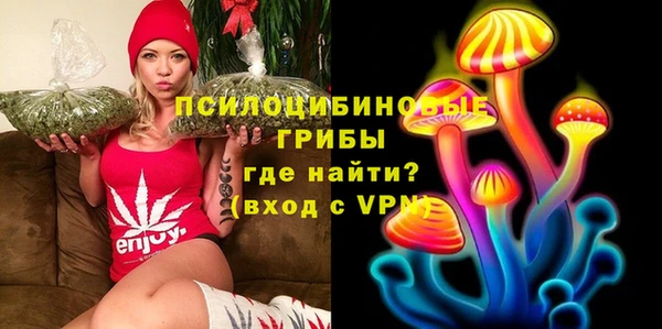 дмт Нефтегорск